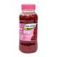 Dina Farms Pomegranate Juice 250 ml