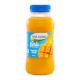 Dina Farms Mango Juice 250 ml